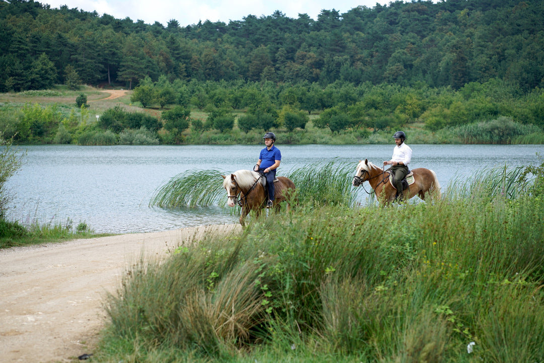 Erotik kabare gozalliklari